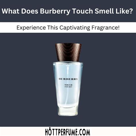 burberry perfume comparison|what does burberry smell like.